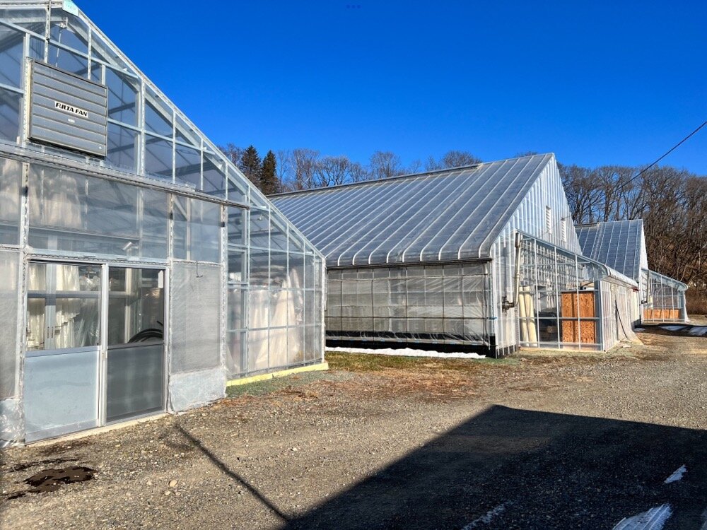 greenhouse-noraworks.JPEG